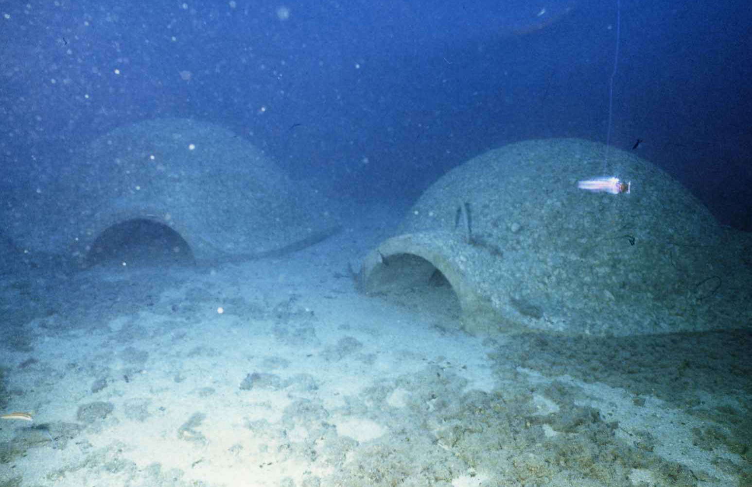 Modules de récifs artificiels "Thalamée"